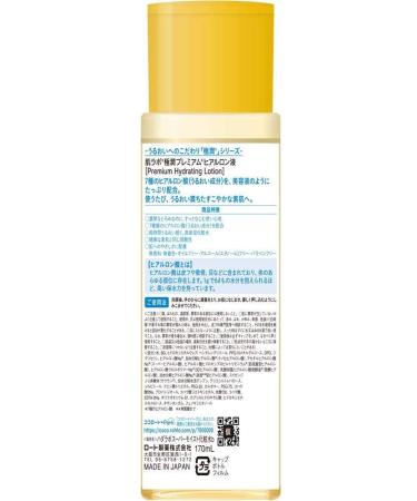 (Set of 2) Hada Labo Gokujun Premium Hyaluronic Acid 170ml - Hydrating Skin Care Serum - Buy Online on SooperMarket.com
