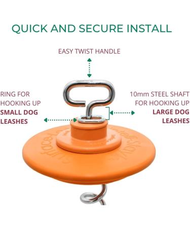 Intellileash Products Intelli-Stayk Dog Tie-Out Stake with Special Surface Lock Technology. Prevents Pulling Out and Bending. (Intelli-Stayk with Beast Dog Surface-Lock) - Buy Online on SooperMarket.com