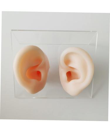 Silicone Ear Models for Practice - 1 Pair Ear Picking & Display Samples - Buy Online on SooperMarket.com