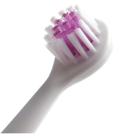 Adult Electric Massage Toothbrush 3 Head Replacement Battery Operated Portable Toothbrush for Boys | International Shipping Available - Buy Online on SooperMarket.com