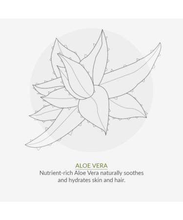 Green People Aloe Conditioner 200ml | Vegan SLS-Free Silicone-Free | Gentle Aloe Vera Formula for All Hair Types | Nature & Bio Certified - Buy Online on SooperMarket.com