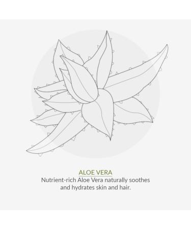 Buy GREEN PEOPLE Moisturising Shampoo 200 ML - Hydrating & Natural Hair Care for All Skin Types - International Shipping Available - Buy Online on SooperMarket.com