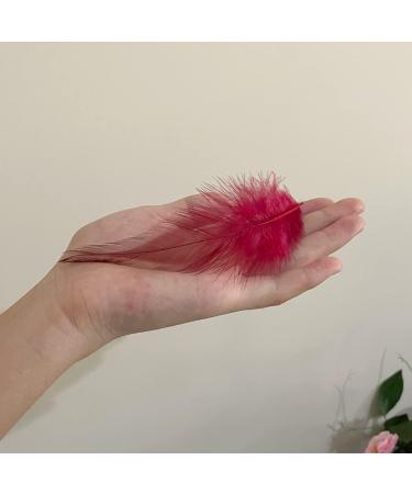 100pcs Red Rooster Saddle Hackle Feathers 5-7 Inch for Crafts & Jewelry Making - Buy Online on SooperMarket.com
