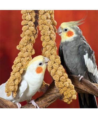 Nemeth Farms Spray Millet: GMO-Free Bird Treat & Supplement 1lb - No Stems, Only Edible Tops for Parakeets, Cockatiels, Lovebirds & Finches - Buy Online on SooperMarket.com