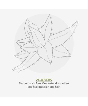 Green People Men No.9 Mint & Prebiotics Deodorant 75ml | Natural & Organic | Paraben & Ethanol Free | Vegan & Cruelty Free - Buy Online on SooperMarket.com