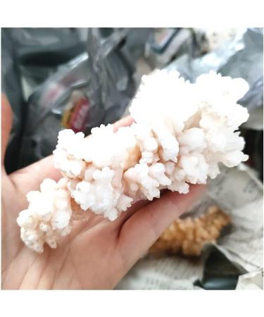 Rare Natural Raw Quartz Crystal Cluster Stones Crystal Point Specimen Home Decoration Raw Crystals Beautiful Gift (Size : 40-70g) - Buy Online on SooperMarket.com