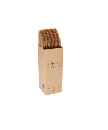BIO AGAVE - 2400 Pack Biodegradable 8 1/4" Standard Straws Made from Agave Fibers | Plant Based Eco Friendly Products | Drinking Straws | Reusable Straws