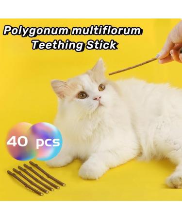 Buy Matatabi Cat Mint Sticks - 40 Pieces for Dental Care | Catnip Toys for Cats - Buy Online on SooperMarket.com