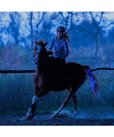 CZP New 100CM Horse Tail USB Lights Chargeable LED Crupper Horse Harness Equestrian Outdoor Sport Horse Riding Tail Lights Equipment 100cm BLUE - Buy Online on SooperMarket.com