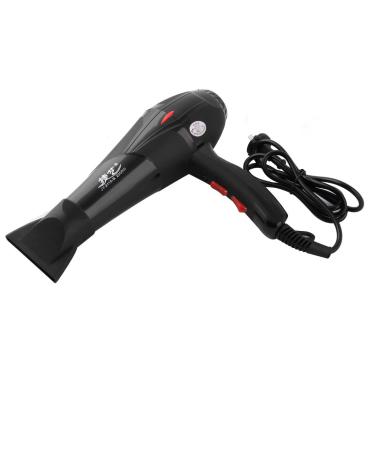 Ruilogod Household Hairstyle Beauty Tool Hair Blow Dryer Drier US Plug Red 220V Black