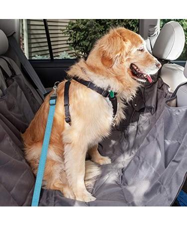 Ultra 1 Blue Dog Seat Belt Adjustable Pet Car Seatbelt Dog Harness Safety Leads Cat Vehicle Travelling Leash 40cm to 53cm Dog Seat Belt for Car Dog Seatbelt Car Restraint Pet Accessories for Dogs Pack of 1 Blue - Buy Online on SooperMarket.com