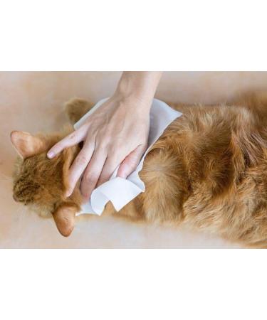 Zipy Dog Wipes - 350 Natural Deodorizing Care Cloths for Cats & Dogs | Fragrance-Free Moisture Towels for Paws Ears & Body - Buy Online on SooperMarket.com