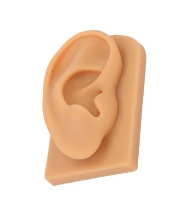 Ear Model Prevent Damage Waterproof Soft Silicone Right Ear Model Flexible Science Education for Display - Buy Online on SooperMarket.com