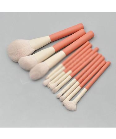 Buy DFHBFG 12 Piece Wood Handle Makeup Brush Set Perfect for Concealer Eye Shadow Blush & Powder | International Shipping Available - Buy Online on SooperMarket.com