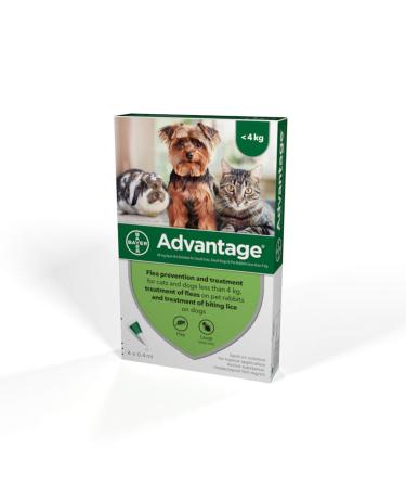 Advantage Spot On Flea Treatment 40 Small Cats Dogs and Rabbits 4 pipettes Small Cats Dogs and Rabbits (&lt 4kg)