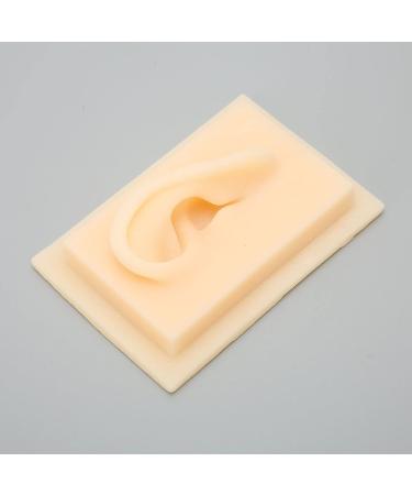 Silicone Ear Model Vivid Shape Durable Wearable Comfortable Soft Human Ear Model Glossy Texture Safe Practical for Teaching Demonstration(Left) - Buy Online on SooperMarket.com