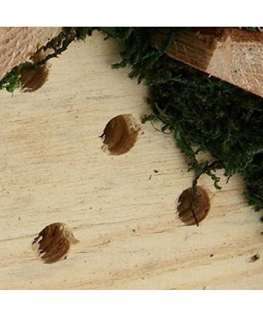 Wildlife Republic Insect Log Cabin Bee and Bug Home Insect Hotel - Buy Online on SooperMarket.com