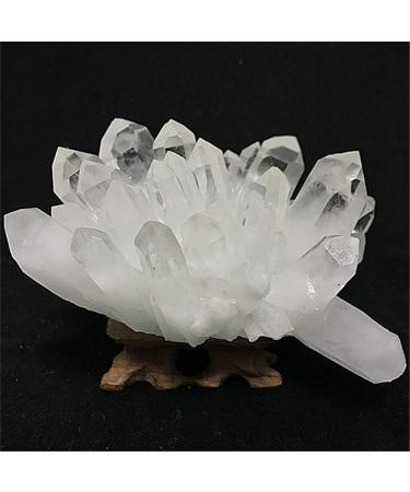FUERLI Natural White of Original specimens (Size : 400g) HOMEZHOU (Size : 400g) - Buy Online on SooperMarket.com