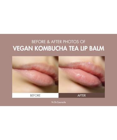 Leegeehaam Dr.Ceuracle Vegan Kombucha Tea Special Set - Korean Hydrating & Nourishing Skincare Gift Set | Essence Gel Cream & Lip Balm - Buy Online on SooperMarket.com