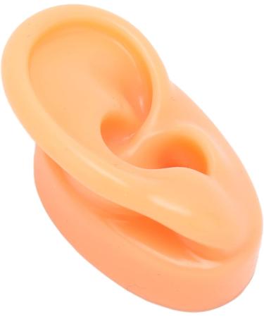 Acupuncture Ear Model - Multi-Purpose Soft & Reusable Fake Ear for Practical Training (Right) - Buy Online on SooperMarket.com