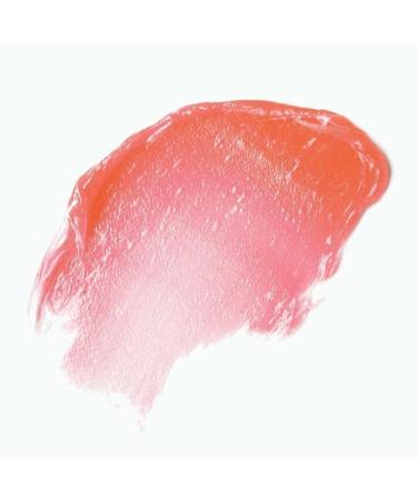 facetheory Lipabalm LP1 - Daily Lip Balm and Lip Conditioner Hydrate and Repair Dry Chapped Lips Vegan Lip Balm Vegan & Cruelty-Free Made in UK | 15 - Buy Online on SooperMarket.com