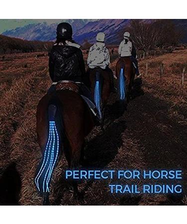 CZP New 100CM Horse Tail USB Lights Chargeable LED Crupper Horse Harness Equestrian Outdoor Sport Horse Riding Tail Lights Equipment 100cm BLUE - Buy Online on SooperMarket.com