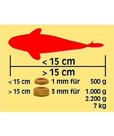 Sera Koi Professional Summer Food 2.2 kg - High-Energy Koi Futter for Optimal Growth & Health Reduced Water Load & Algae Prevention - International Shipping Available - Buy Online on SooperMarket.com
