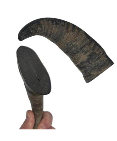 Ace Antlers Buffalo Horn for Dogs (XL 300-400g Piece) - Natural Long-Lasting Dog Buffalo Horn Chews for Chewing Satisfaction - 3 Sizes inc Large XL and XXL