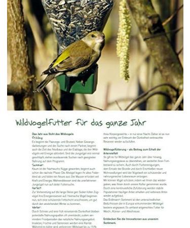 Erdtmanns 60 Meisenkn del Plus Protein for Wild Birds | High Protein Insects Premium Range Eco-Friendly Bulk Supply - Buy Online on SooperMarket.com