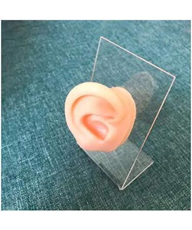 Flexible Silicone Ear Model - Ear Simulation Template with Acupuncture Details Practice Choose Studs Earring Display Accessories Left - Buy Online on SooperMarket.com