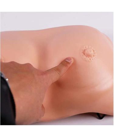 Portable Female Breast Review Template Natural and Realistic Style Chest Template Used for Medical Students to Practice Verification - Buy Online on SooperMarket.com