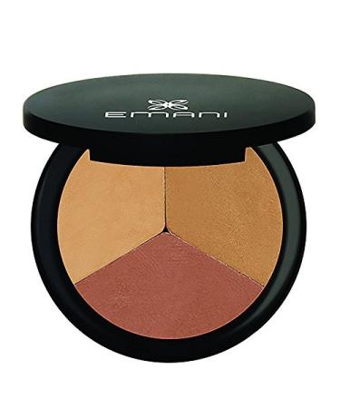 EMANI Vegan Cosmetics Trio Brow Colors 402  Blonde Brown  0.14 Ounce