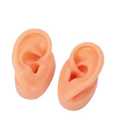 Soft Artificial Ear Display Model for Hospitals - Anatomically Accurate Simulation - Buy Online on SooperMarket.com