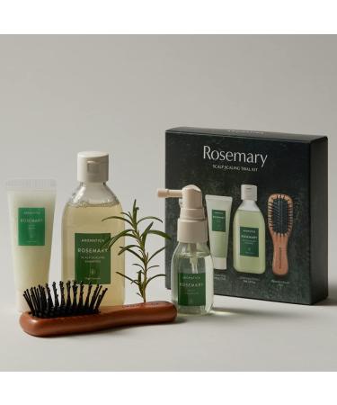 AROMATICA Rosemary Scalp Scaling Trial Kit with Mini Wooden Hair Brush - Clearer, Dandruff-Free Hair - Plant-Based Vegan Shampoo - 3.38 fl. oz Shampoo + 1.01 fl. oz Root Enhancer & Scalp Scrub - Buy Online on SooperMarket.com