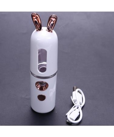New Mini USB Rechargeable Nano Hydrator Sprayer Women Beauty Instruments Home Use Humidifier Face Steamer Easy Install Easy to Use White - Buy Online on SooperMarket.com
