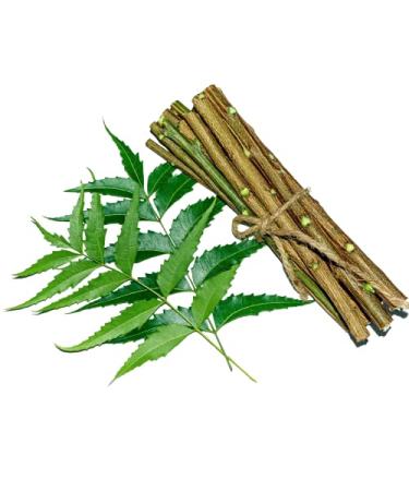 OMC Organic Natural Neem Stick(10pcs) datun Brush for Strong Teeth neem datun no Germs 6 inch (10 pcs)