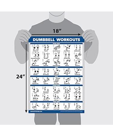 Quickfit Dumbbell & Barbell Training Poster Set - Laminated 18x27 | International Shipping Available - Buy Online on SooperMarket.com