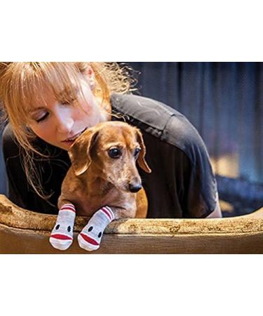 RC Pet Products PAWks Dog Socks - Small Paw Protection (1 Pair) - Buy Online on SooperMarket.com