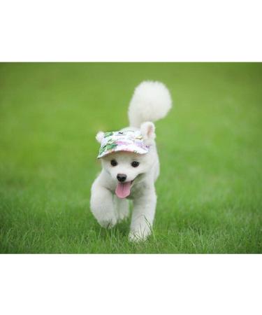 Bbeart Camouflage Pet Hat - Sports Cap with Ear Holes & Chin Straps for Medium & Large Dogs (XL) - Stylish Leisure Visier & Sun Protection - Buy Online on SooperMarket.com