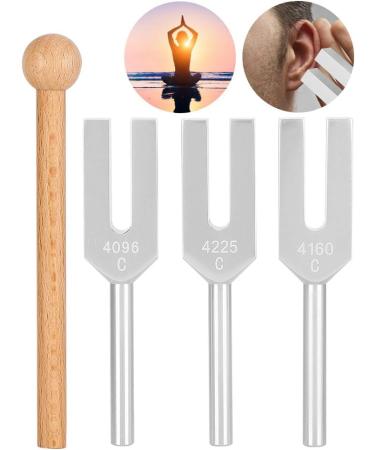 Tuning Fork 440Hz Tuning Fork Non-Deformation Music Tuning Accessories 3Pcs with 2Pcs Storage Bag for Teaching for Physics Experiments - Buy Online on SooperMarket.com