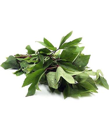 Fresh Gongura leaves Bunch | Single Bunch | Vegetarian | Puntikura Leaf | Pulicha Keerai | Fresh Gongura leaves | High Source | Indian Origin | Approx 200G