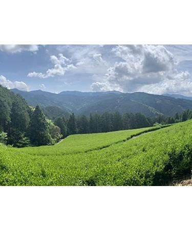 Premium Gyokuro by CHILL TEA Tokyo - Jewel dew - Exclusive Japanese green tea - Mellow deep Umami - 60g - Buy Online on SooperMarket.com