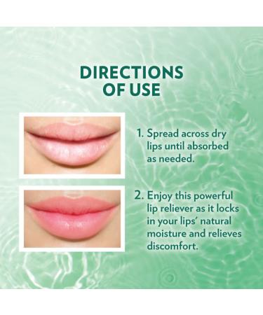 Vaseline Lip Therapy Mint with Backer Card - Hydrating Lip Balm - Buy Online on SooperMarket.com