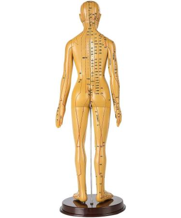 Human Female Acupuncture Anatomical Model with Acupuncture Points Bronze Color 50Cm - Buy Online on SooperMarket.com