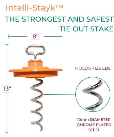 Intellileash Products Intelli-Stayk Dog Tie-Out Stake with Special Surface Lock Technology. Prevents Pulling Out and Bending. (Intelli-Stayk with Beast Dog Surface-Lock) - Buy Online on SooperMarket.com