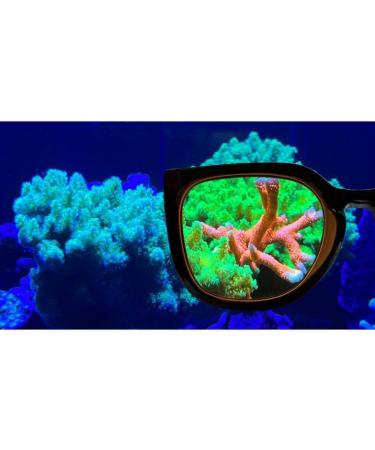 Aqua Medic Coral Glasses - Enhance Your Reef Experience | International Shipping Available - Buy Online on SooperMarket.com