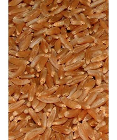 Buy Organic Kamut Ancient Wheat Grains - BIOMOND 2 x 1 000g Value Pack - Premium Khorasan Wheat from Canada for Healthy Eating - Buy Online on SooperMarket.com