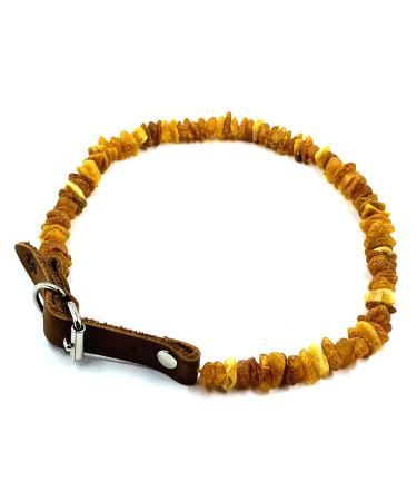 Amber Jewelry Shop Amber Necklace for Dogs Amber Collar for Dogs Natural Baltic Amber Beads 35-40