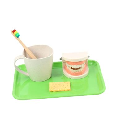 Beavorty 1 set early toothing toys toothbrush toys toothbrush toys preschool tooth cleaning model Pedagogical toothbrush toy tooth plaster teaching toys reusable