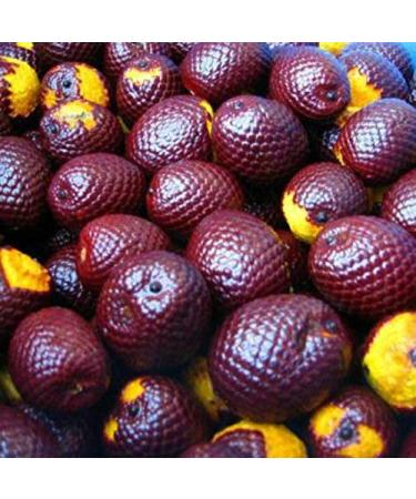Buy 100% Organic Buriti (Aguaje) Fruit Oil - 2oz Cold-Pressed Glass Bottle | Pure Natural Moisturizer for Skin Hair & Face | Imported from Brazil - Buy Online on SooperMarket.com